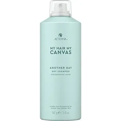 Alterna Haircare My Hair My Canvas Another Day Dry Shampoo