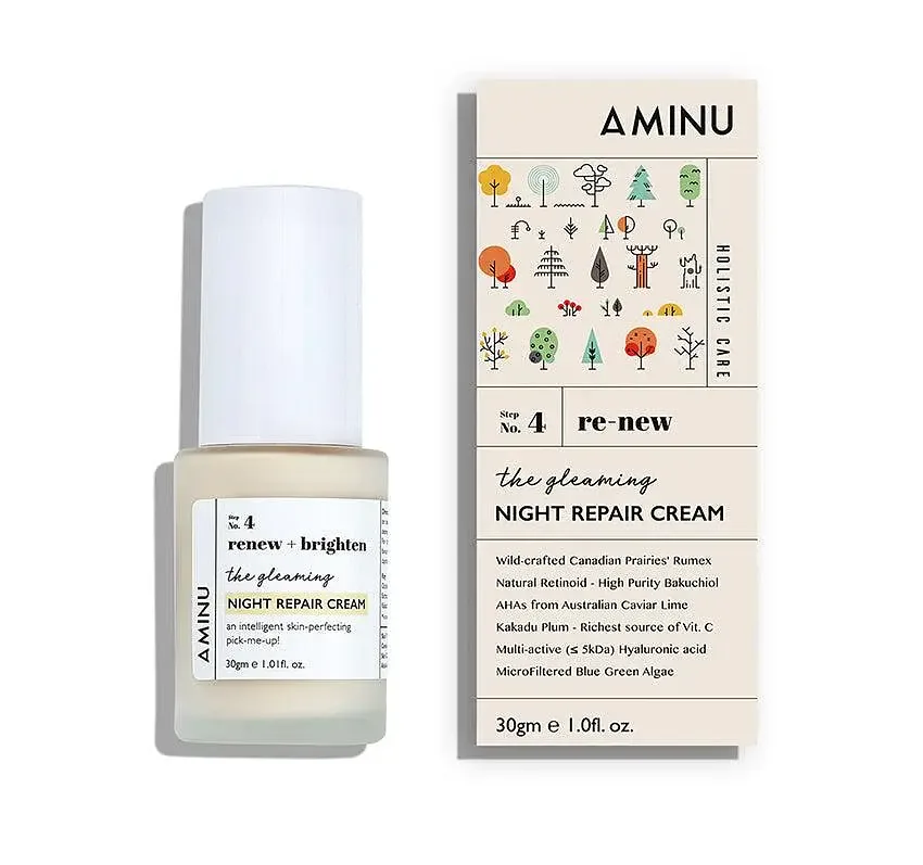 Aminu The Gleaming Night Repair Cream