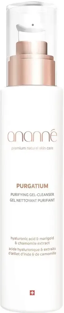 ananné Purgatium Purifying Gel Cleanser