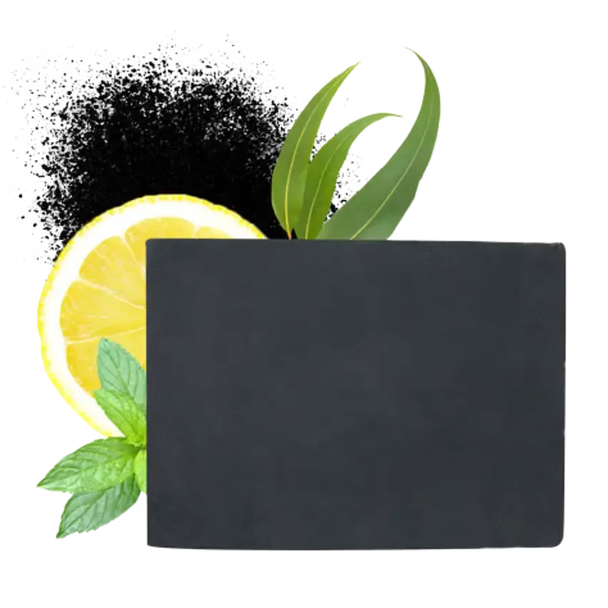 Aroma-Zone Savon Végétal Charbon Detox