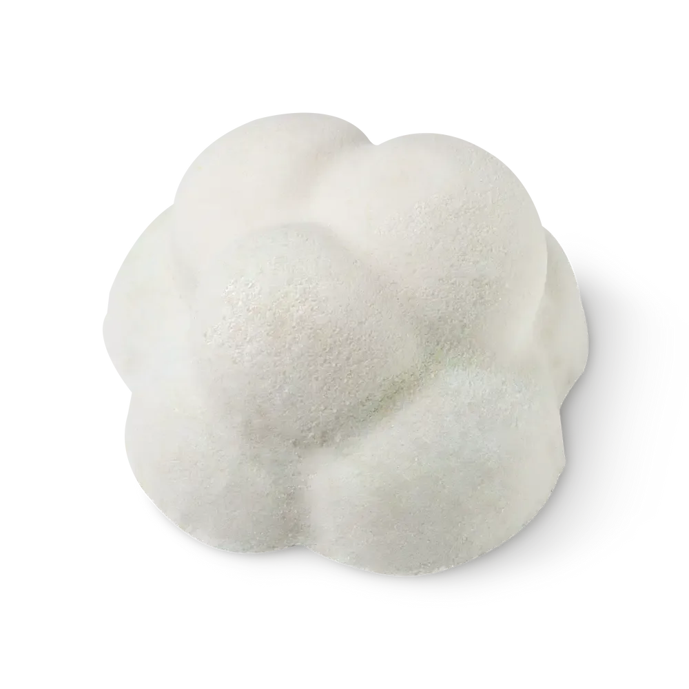 LUSH Sleep Shower Bomb