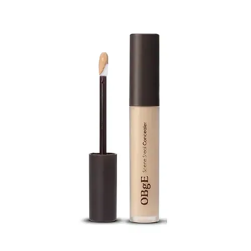 OBgE Scene Steal Concealer