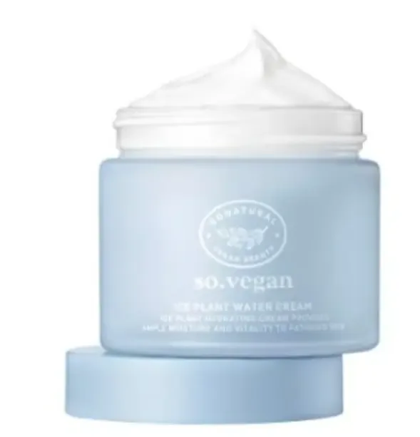 so natural So Vegan Ice Plant Water Cream