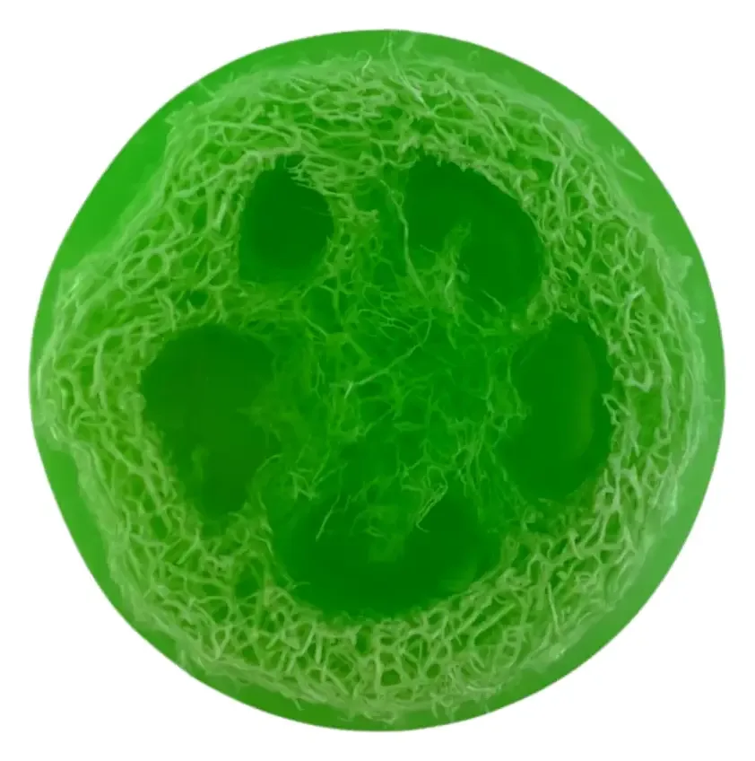 Soap Cute California Watermelon Natural Loofah Exfoliating Soap Bar