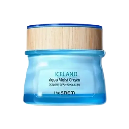 THE SAEM Iceland Aqua Moist Cream