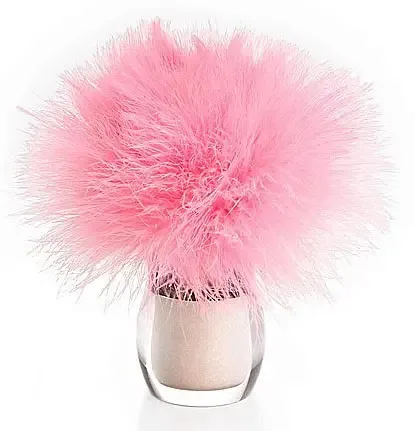 Victoria’s Secret Sexy Little Things Give Me The Shimmers Sparkling Body Powder